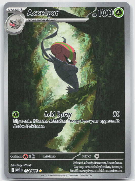 Accelgor Holo Illustration Rare SV: White Flare 094/086 NM