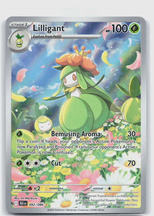 Lilligant Holo Illustration Rare SV: Black Bolt 092/086 NM