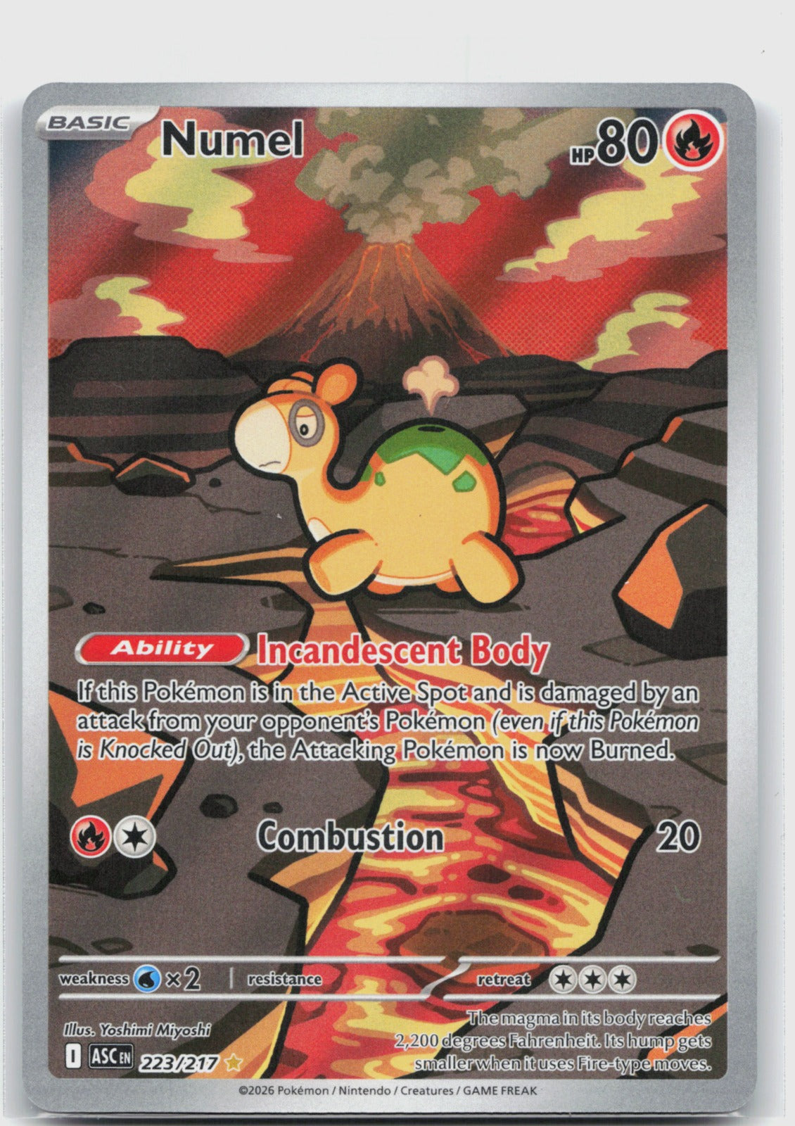Numel Holo Illustration Rare ME: Ascended Heroes 223/217 NM