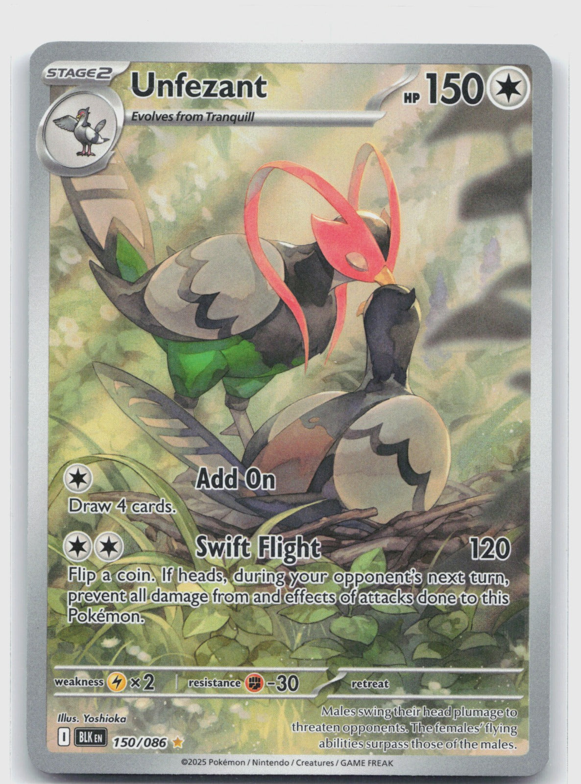 Unfezant Holo Illustration Rare SV: Black Bolt 150/086 NM