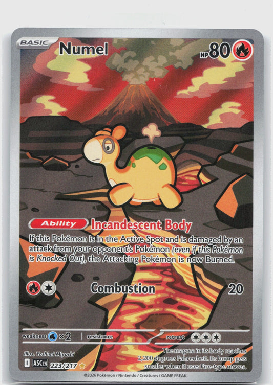 Numel Holo Illustration Rare ME: Ascended Heroes 223/217 NM
