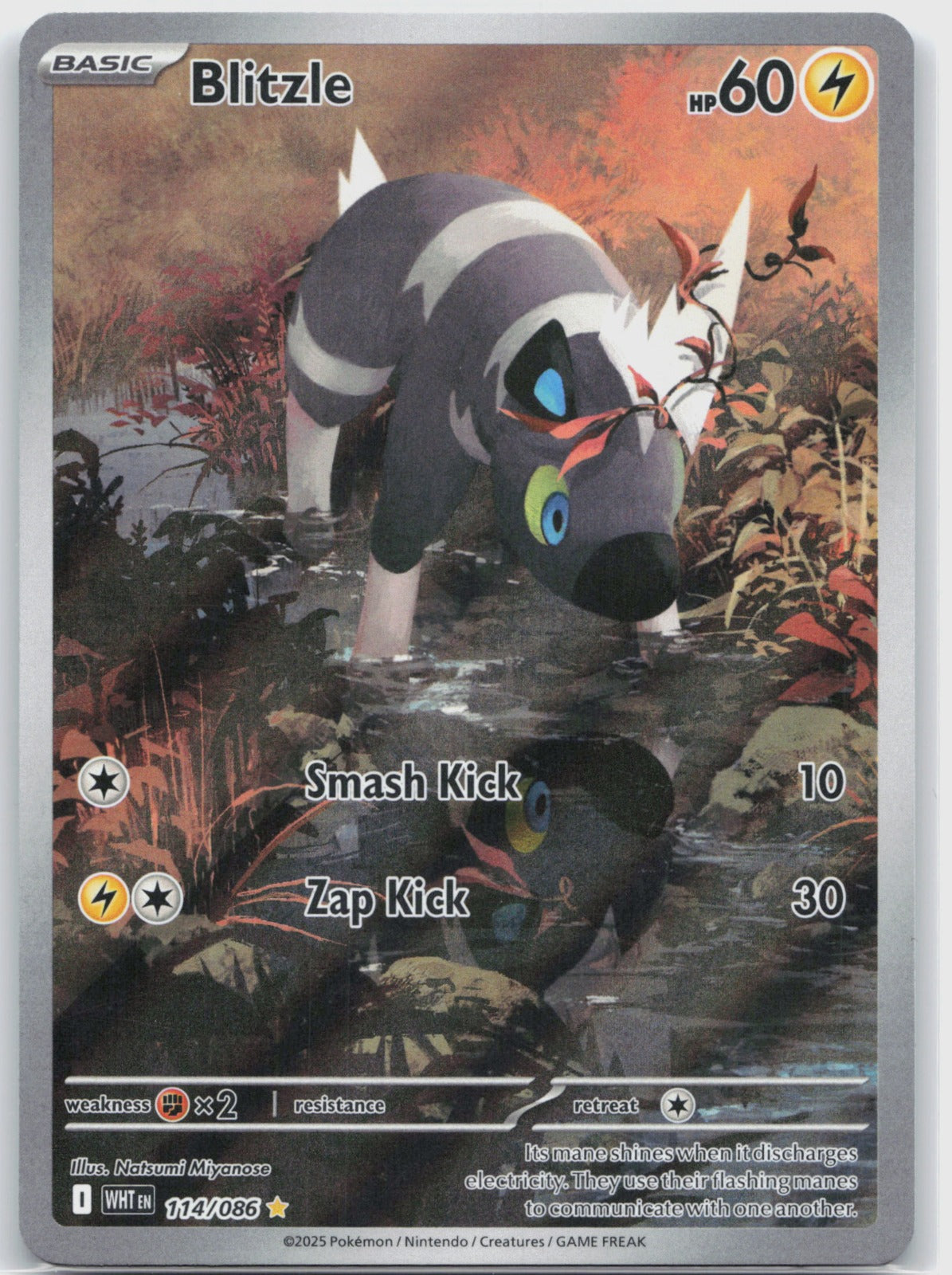 Blitzle Holo Illustration Rare SV: White Flare 114/086 NM